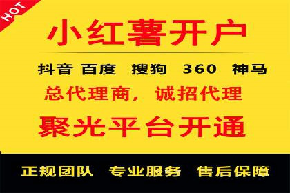 SEM服务优势案例分享
